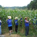 (주)자은 이미지