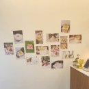 코코코하우스(COKOKO HOUSE) | 안산 중앙역 신상 애견 자연식&amp;케이크 전문점 코코코 하우스