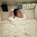해피업 | 모로반사 방지템 비교, 정착후기: 머미쿨쿨 올인원 / 해피테일즈 슬립빈 / 스와들업 / 바디필로우