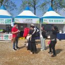 고창마켓