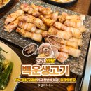 백운로 | [내돈내산] 의왕 백운호수 애견동반 생고기 맛집 백운생고기｜한우·오겹살·육회 후기