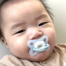 명가소프트 | 모윰 물고임 없는 소프트윙 쪽쪽이 3단계 6개월