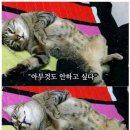 빠름 이미지