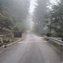 하추자연휴양림 이미지