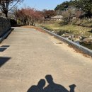 신정반점 이미지