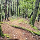 천안종합휴양관광지 이미지