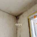 세븐일레븐 호매실한양수자인점 | 수원 탄성코트 호매실 한양수자인 천장 곰팡이 제거 다녀왔어요