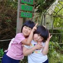 실미농장 이미지