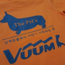 더 펫 애견샾 이미지