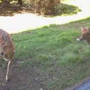 신흥초교 이미지