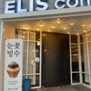 셰이크로그 이미지