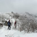 계방산[桂芳山] 1,577m 설경을 소개 합니다. 이미지