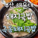 극동 | 부산 해운대 돼지국밥 맛집｜극동돼지국밥 솔직후기