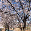증산역 / 불광천 카페 베네쉬커피 beneshe coffee 따뜻한 분위기 카페