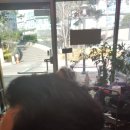 안산천연염색헤나샵 네이버블로그