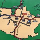 나리다온 이미지