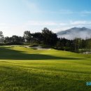 알프스퍼블릭 이미지