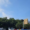 서귀동-31 이미지