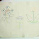 도안세탁 이미지