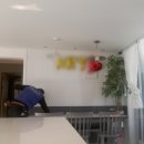 since2007 대한민국 최대 좀벌레 퇴치업체 해충마스터