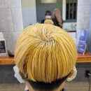 인헤어(Inhair)