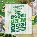 지원캘리 네이버블로그