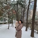명품수선전문세탁소 | 골든구스 슈퍼스타 👟 비브람 밑창 보강 수선 후기 (명품전문 강남 탑크린)