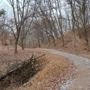 원수산 누리길 이미지