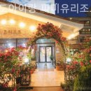 파미유리조트 가족호텔 이미지