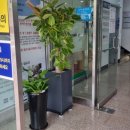 밝은사랑약국 이미지