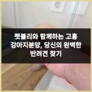 미소애견샵 | 순천강아지분양 통해 건강한 반려견 입양 경험과 애견샵 시설 후기