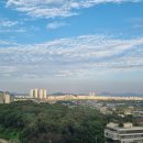 지혜의 숲 도서관 이미지