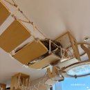 고양이별 캣 카페 | 마곡 가볼만한곳 이색체험 고양이별캣카페