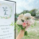 (주)까미노 이미지