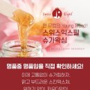 스위스 익스필