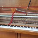 금곡상회 이미지