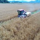 강진슈퍼 이미지