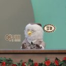 만다리나덕현대백화점 | 김포현대아울렛 만다리나덕 로고덕 기내용캐리어+멀티케이스 구입: 캐리어는 오프라인에서 사야하는 이유