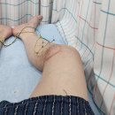 전갑술한의원 이미지