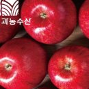 자연농수산 - 강남구 | 자연농수산