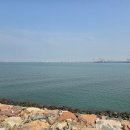 배곧한울공원 이미지