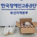수니타임 이미지