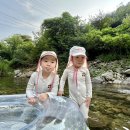 느리게걷기키즈가족펜션 | 가평 키즈펜션 가성비 숙소 :: 수영장 /계곡 있는 느리게걷기 내돈내산