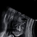 이경수치과의원 이미지