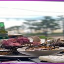 지금조개 이미지