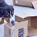 (주)노즈워크 이미지