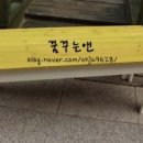 꿈꾸는앤 네이버블로그
