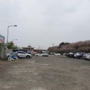 선상활어회