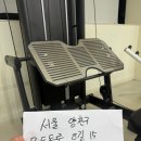 [양천구] 짐80 힙쓰러스트 / 스타트랙 시티드 레그프레스 판매합니다 이미지