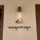 [신당역] Mogumogu, 쵸코나무숲 쿠키 먹고 온 후기